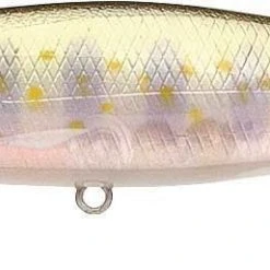 Lucky Craft Pointer 100SP 4 Inch Suspending Jerkbait - Clearance Baits