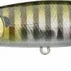 Lucky Craft Pointer 100DD 4 Inch Deep Diving Suspending Jerkbait - Clearance