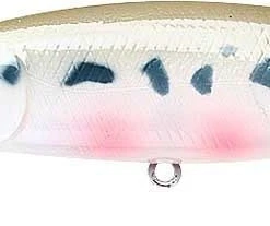 Lucky Craft Pointer 100DD 4 Inch Deep Diving Suspending Jerkbait - Clearance