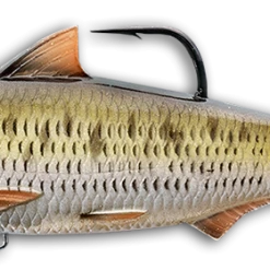 Baits LIVETARGET Common Shiner Soft Body Swimbait