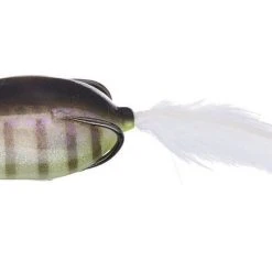 Evergreen International SS Softshell Topwater Hollow Body Popper Frog 10 Evergreen International SS Softshell Topwater Hollow Body Popper Frog