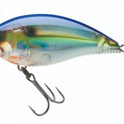 Yo-Zuri 3DB Square-Lip 2 3/4 Inch Shallow Diving Square Bill Crankbait 31 Yo-Zuri 3DB Square-Lip 2 3/4 Inch Shallow Diving Square Bill Crankbait