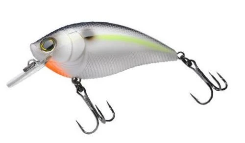 Yo-Zuri 3DB Square-Lip 2 3/4 Inch Shallow Diving Square Bill Crankbait 17 Yo-Zuri 3DB Square-Lip 2 3/4 Inch Shallow Diving Square Bill Crankbait