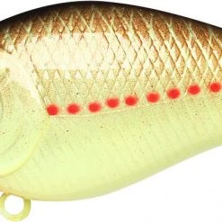 Lucky Craft LC 1.5 Shallow Squarebill Crankbait 25 Lucky Craft LC 1.5 Shallow Squarebill Crankbait