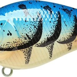 Lucky Craft LC 1.5 Shallow Squarebill Crankbait 31 Lucky Craft LC 1.5 Shallow Squarebill Crankbait