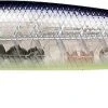 Lucky Craft Lightning Pointer 110XR Fast Diving Jerkbait