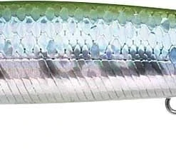 Baits Lucky Craft Saltwater Flash Minnow 110 California Inshore Fishing (CIF) Rip Bait