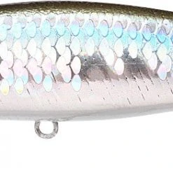 Lucky Craft Pointer 100 SP 4 Inch Suspending Jerkbait Baits
