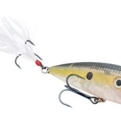 Strike King KVD Splash Topwater Popper