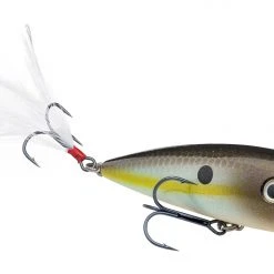 Strike King KVD Splash Topwater Popper