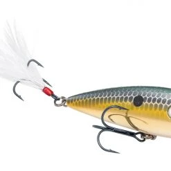 Strike King KVD Splash Jr. Topwater Popper