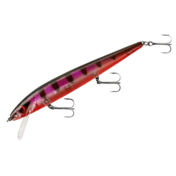 Baits Smithwick Perfect 10 Rogue 5 1/2 Inch Deep Diving Suspending Jerkbait 32 Baits Smithwick Perfect 10 Rogue 5 1/2 Inch Deep Diving Suspending Jerkbait
