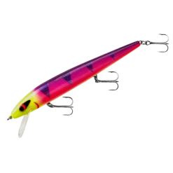 Baits Smithwick Perfect 10 Rogue 5 1/2 Inch Deep Diving Suspending Jerkbait 41 Baits Smithwick Perfect 10 Rogue 5 1/2 Inch Deep Diving Suspending Jerkbait