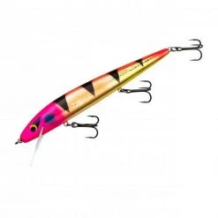 Baits Smithwick Perfect 10 Rogue 5 1/2 Inch Deep Diving Suspending Jerkbait 42 Baits Smithwick Perfect 10 Rogue 5 1/2 Inch Deep Diving Suspending Jerkbait
