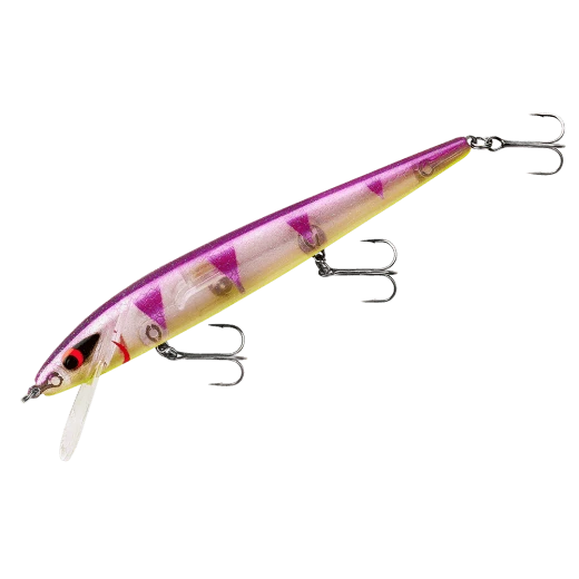 Baits Smithwick Perfect 10 Rogue 5 1/2 Inch Deep Diving Suspending Jerkbait 20 Baits Smithwick Perfect 10 Rogue 5 1/2 Inch Deep Diving Suspending Jerkbait