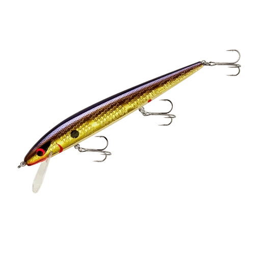 Baits Smithwick Perfect 10 Rogue 5 1/2 Inch Deep Diving Suspending Jerkbait 23 Baits Smithwick Perfect 10 Rogue 5 1/2 Inch Deep Diving Suspending Jerkbait