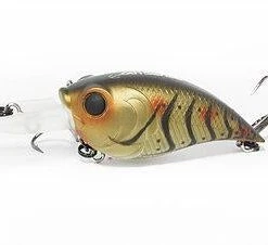 6th Sense Curve 55 Medium Diving Crankbait