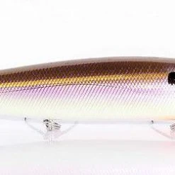 6th Sense Dogma Topwater Walker Baits