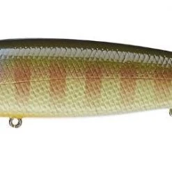 Lucky Craft Pointer 158 Shallow Diving Jerkbait Baits