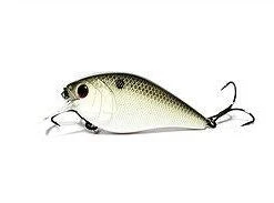 6th Sense Crush 100X Shallow Squarebill Crankbait