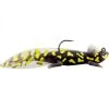River2Sea Nest Raider 5 Inch Rigged Soft Plastic Lizard