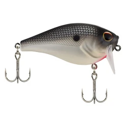Berkley WakeBull 60/70 Waking Shallow Squarebill Crankbait 35 Berkley WakeBull 60/70 Waking Shallow Squarebill Crankbait
