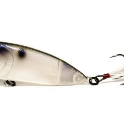 Baits 6th Sense Splash Back Topwater Popper