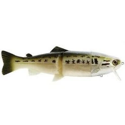 Castaic Hard Head Real Bait Swimbait 9" Slow Sinking