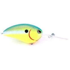 Baits Spro John Crews Little John Dd 70 Crankbait