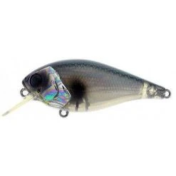 River2Sea Ish Monroe Biggie Poppa Bumpin' Rattle Fast