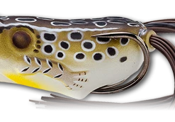 LIVETARGET Popper Frog Hollow Body Topwater Frog