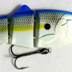 Reaction Strike Revolution Shad 3 Inch Suspending Hard Body Swimbait 11 Reaction Strike Revolution Shad 3 Inch Suspending Hard Body Swimbait