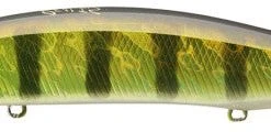 Duo International Baits Duo Realis Jerkbait 120F 22 Duo International Baits Duo Realis Jerkbait 120F