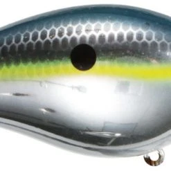 Strike King Kvd Square Bill 1.0 Silent Crankbaits