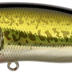 Megabass Pop Max Baits