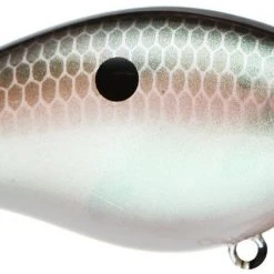 Strike King Kvd Square Bill 1.0 Silent Crankbaits