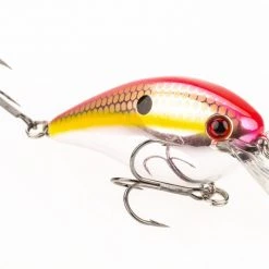 Strike King KVD Square Bill 1.5 Silent Crankbaits