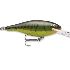 Rapala Shad Rap Sr04 1 1/2