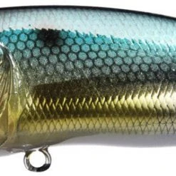 Megabass Pop Max Baits