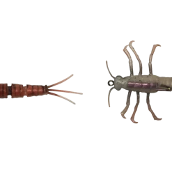 Baits Savage Gear 3D Tpe Mayfly Nymph Soft Plastic Creature 15 Baits Savage Gear 3D Tpe Mayfly Nymph Soft Plastic Creature