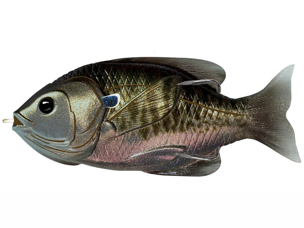 Livetarget Sunfish 75 Hollow Body 3" 7 Livetarget Sunfish 75 Hollow Body 3"