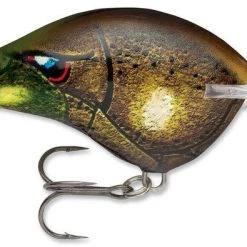 Baits Rapala Dt Series Crankbait Dt16 62 Baits Rapala Dt Series Crankbait Dt16