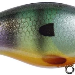 Strike King Kvd Square Bill 1.0 Silent Crankbaits