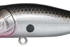 Megabass Pop-X Baits