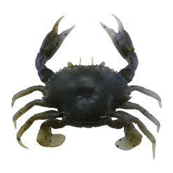 Savage Gear 3D Pvc Crab Sinking Soft Plastic Creature