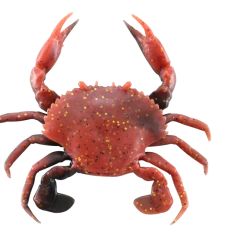 Savage Gear 3D Pvc Crab Sinking Soft Plastic Creature