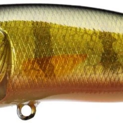 Megabass Pop Max Baits