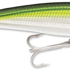 Baits Rapala X-Rap Saltwater Sxr-12 4 3/4