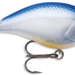 Storm Arashi Rattling Square Bill 2 1/8