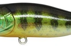 Megabass Pop-X Baits